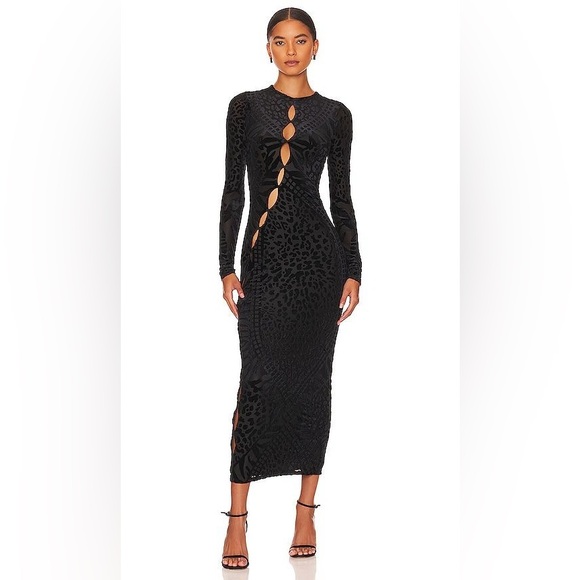 AFMR- Jolie Velvet Dress - Picture 2 of 4